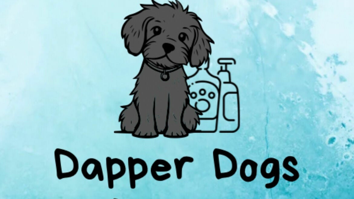 Dapper Dogs 313 Ashby Road Scunthorpe Fresha