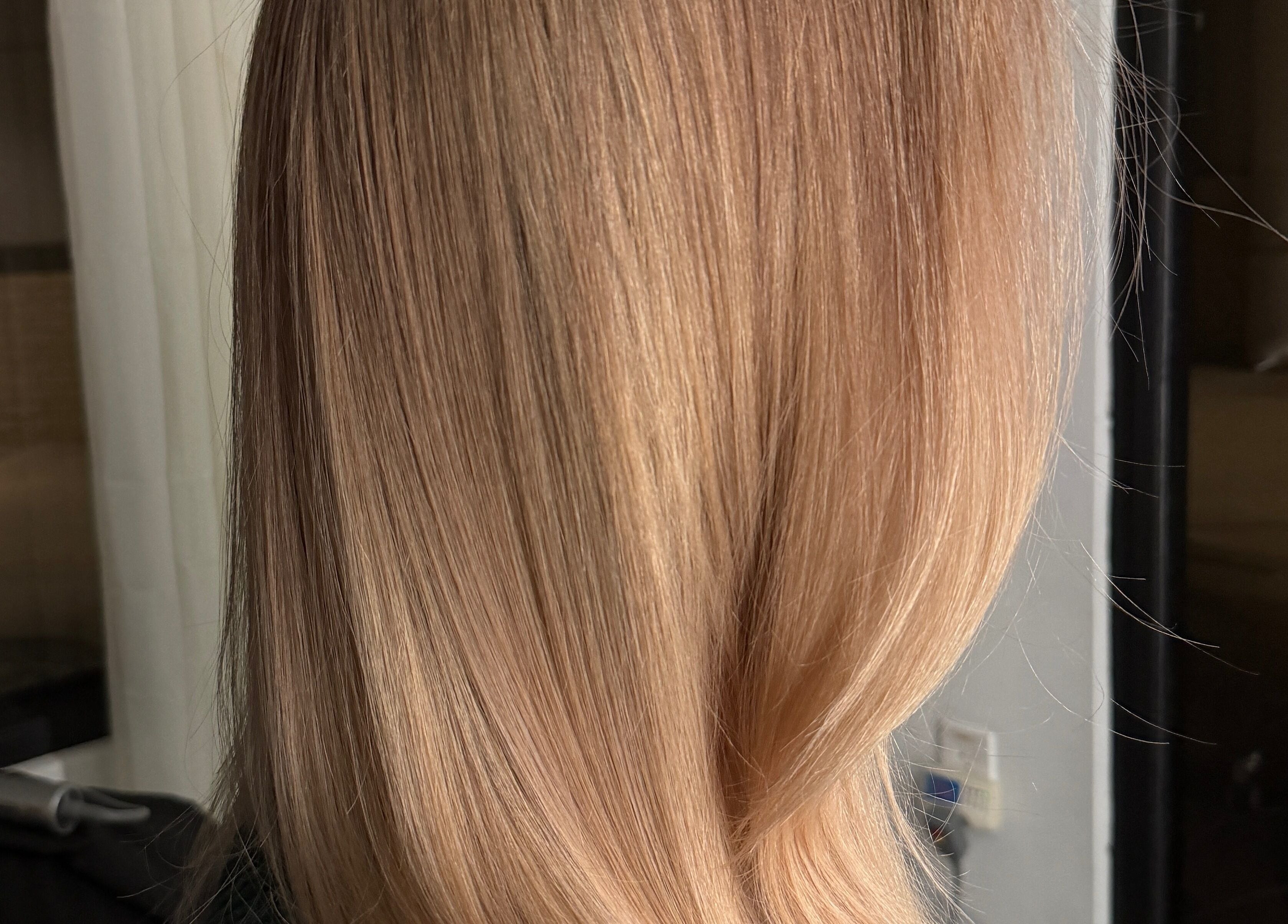 Blondie showcases sleek golden hair in Durham, North Carolina, US, highlighting luminous texture and shine.