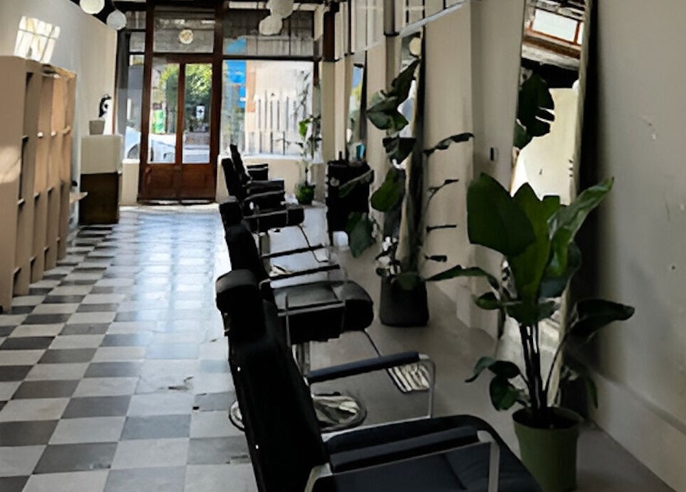 Stylish interior of MOAI Barber Studio in London, England, GB with sleek chairs and vibrant plants.