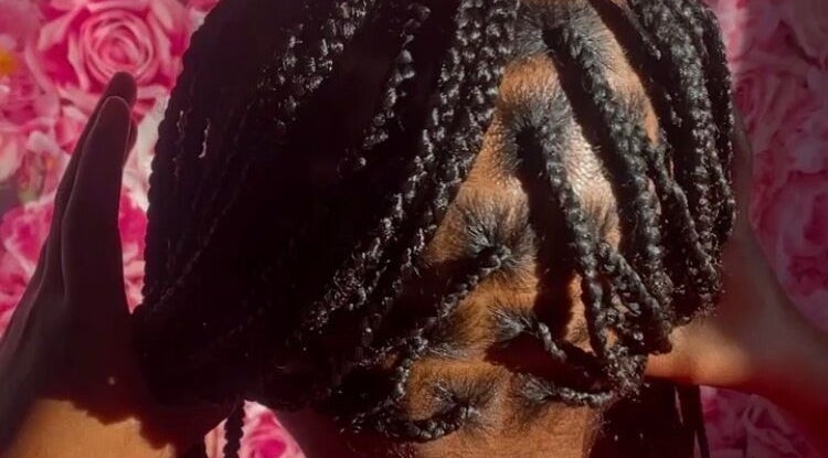 Intricate braided hairstyle at Rich Girlz Hair Studio, Houston, Texas, US, with vibrant rose background.