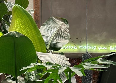 Greenery decor at Nonstop Style 33 in New York, New York, US with neon sign accentuates the ambiance.