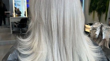 Carrie Fern Price Hair, bilde 3