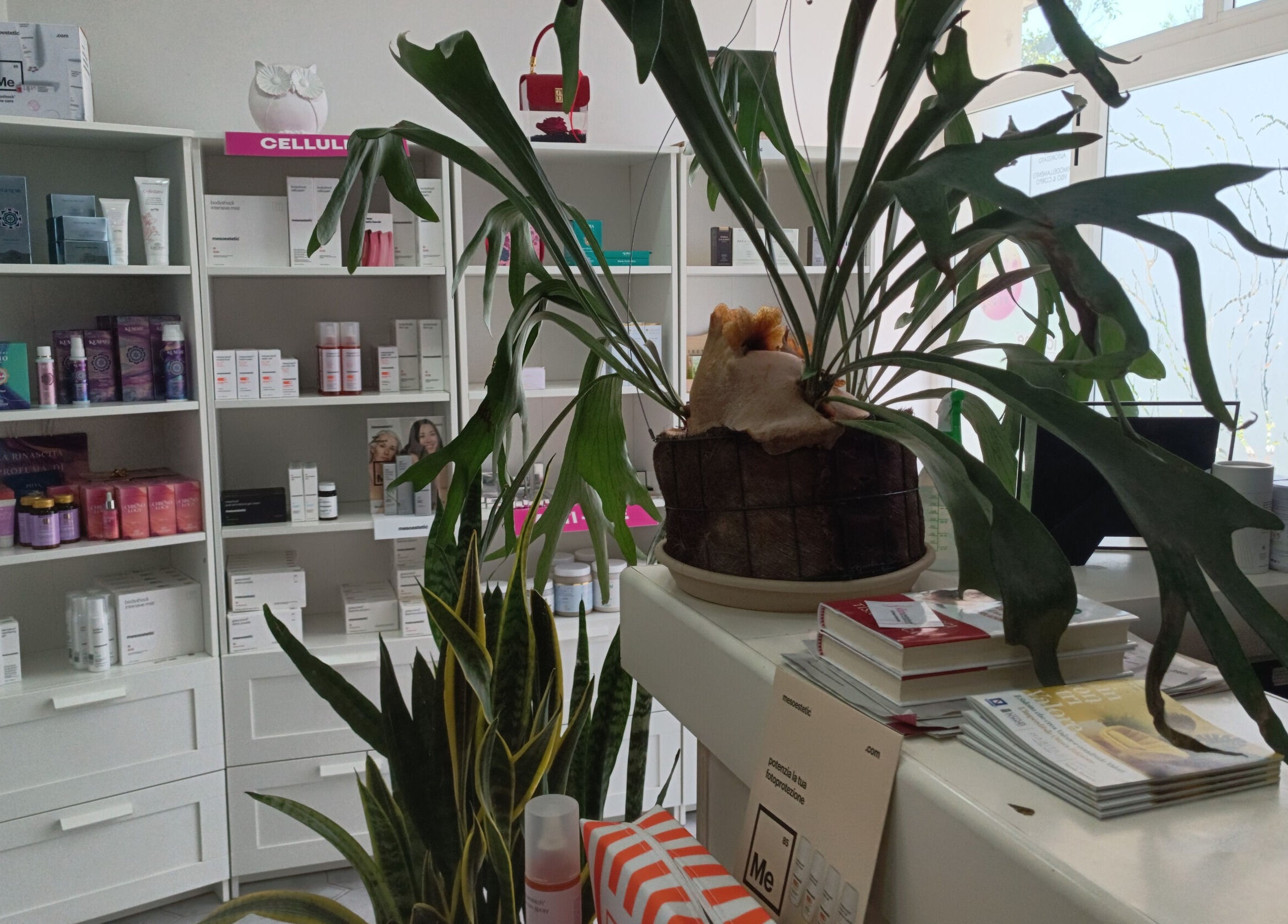 Prodotti di bellezza a Slim Center Epilazione Laser - Dimagrimento, Orta Di Atella, Campania, IT.