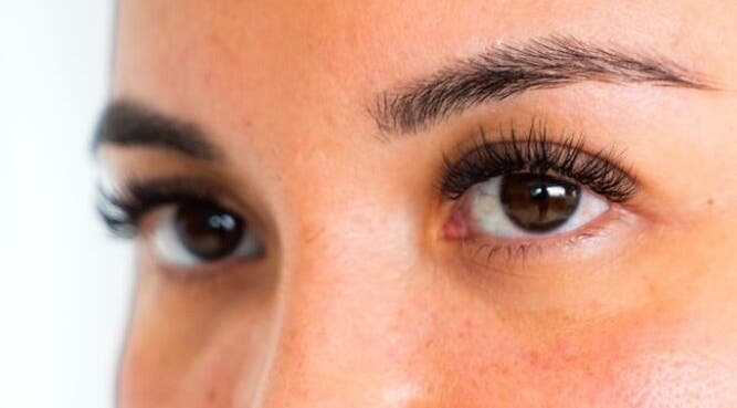 Close-up of beautifully groomed eyebrows and lashes at The Cocoon CBR in Phillip, Australian Capital Territory, AU.
