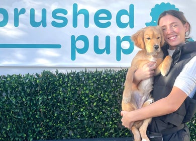 Brushed Pup Grooming in Albion Park Rail, New South Wales, AU, features a friendly groomer holding a happy dog.