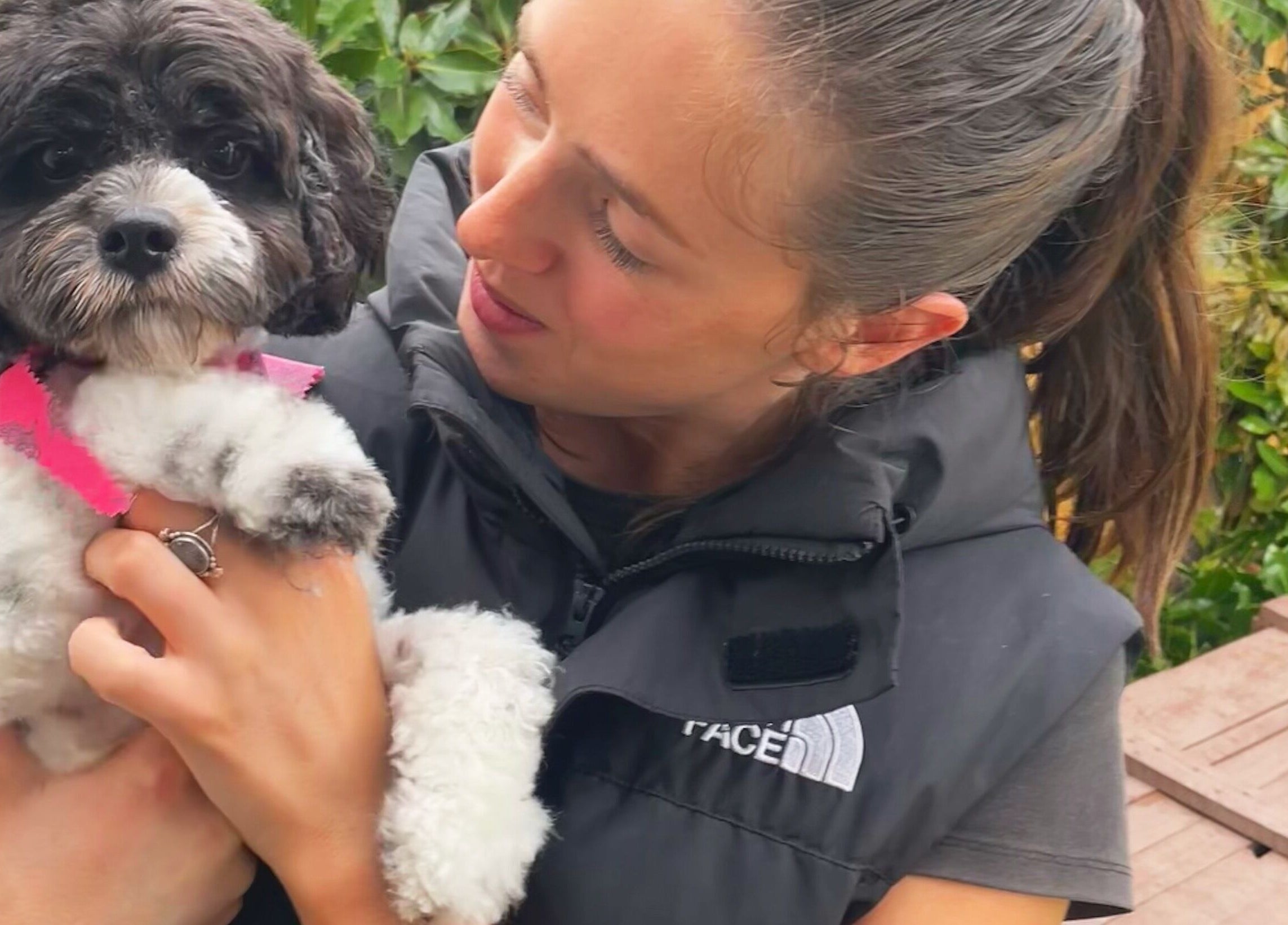 A groomer lovingly holding a cute dog at Brushed Pup Grooming, Albion Park Rail, New South Wales, AU.