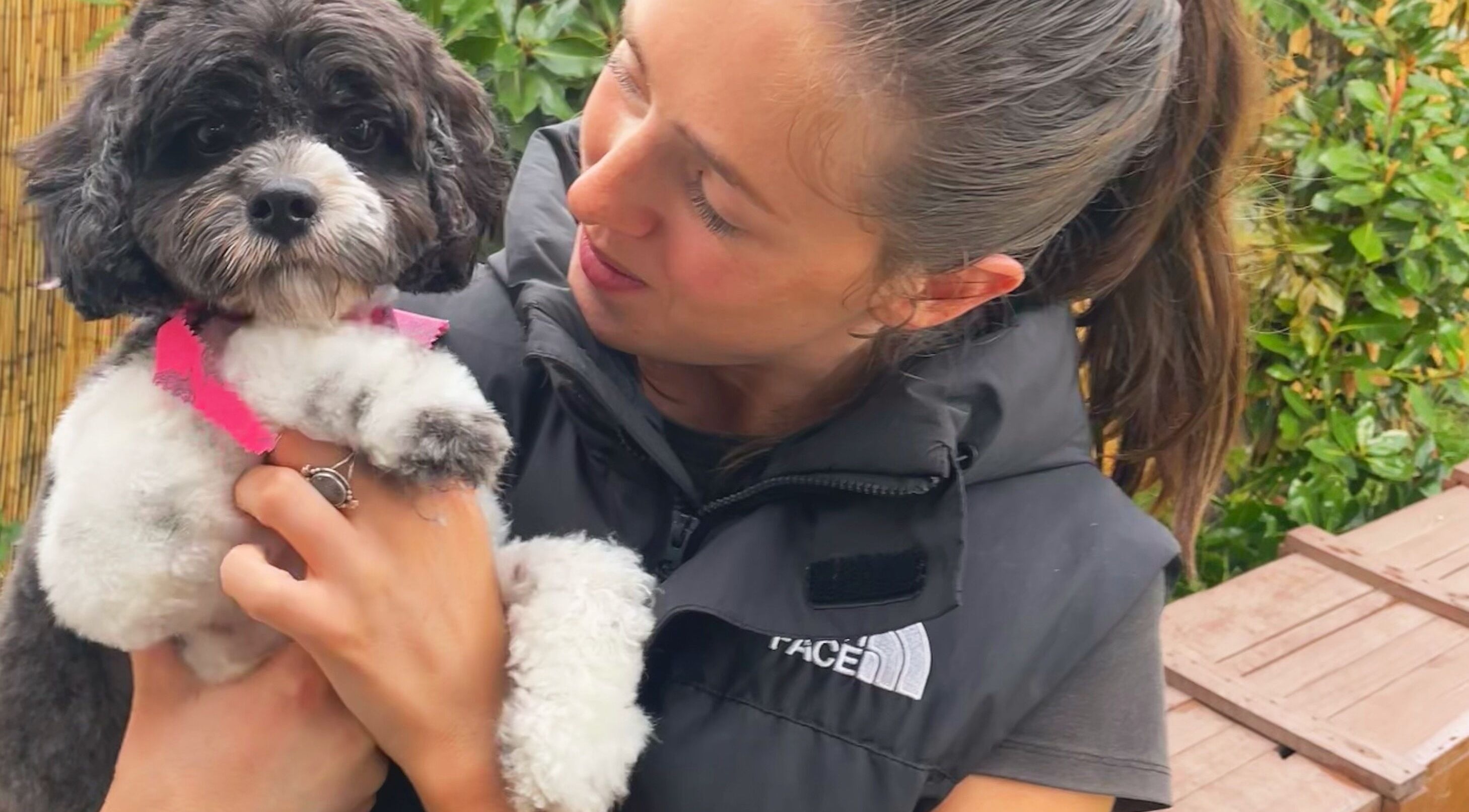 A groomer lovingly holding a cute dog at Brushed Pup Grooming, Albion Park Rail, New South Wales, AU.