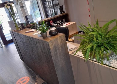 Reception elegante di Mamaspa a Ravenna, Emilia-romagna, IT, con piante decorative e design moderno.