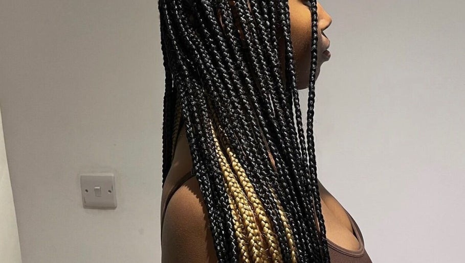 Immagine 1, Braids by Ninny 246