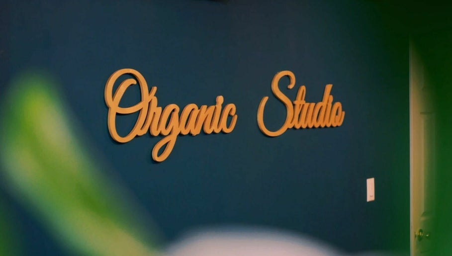 Organic Studio 1paveikslėlis