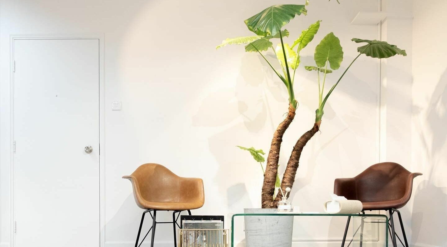 Stylish seating and lush plant at Fjino, Hong Kong Island, HK, creating a peaceful ambiance.