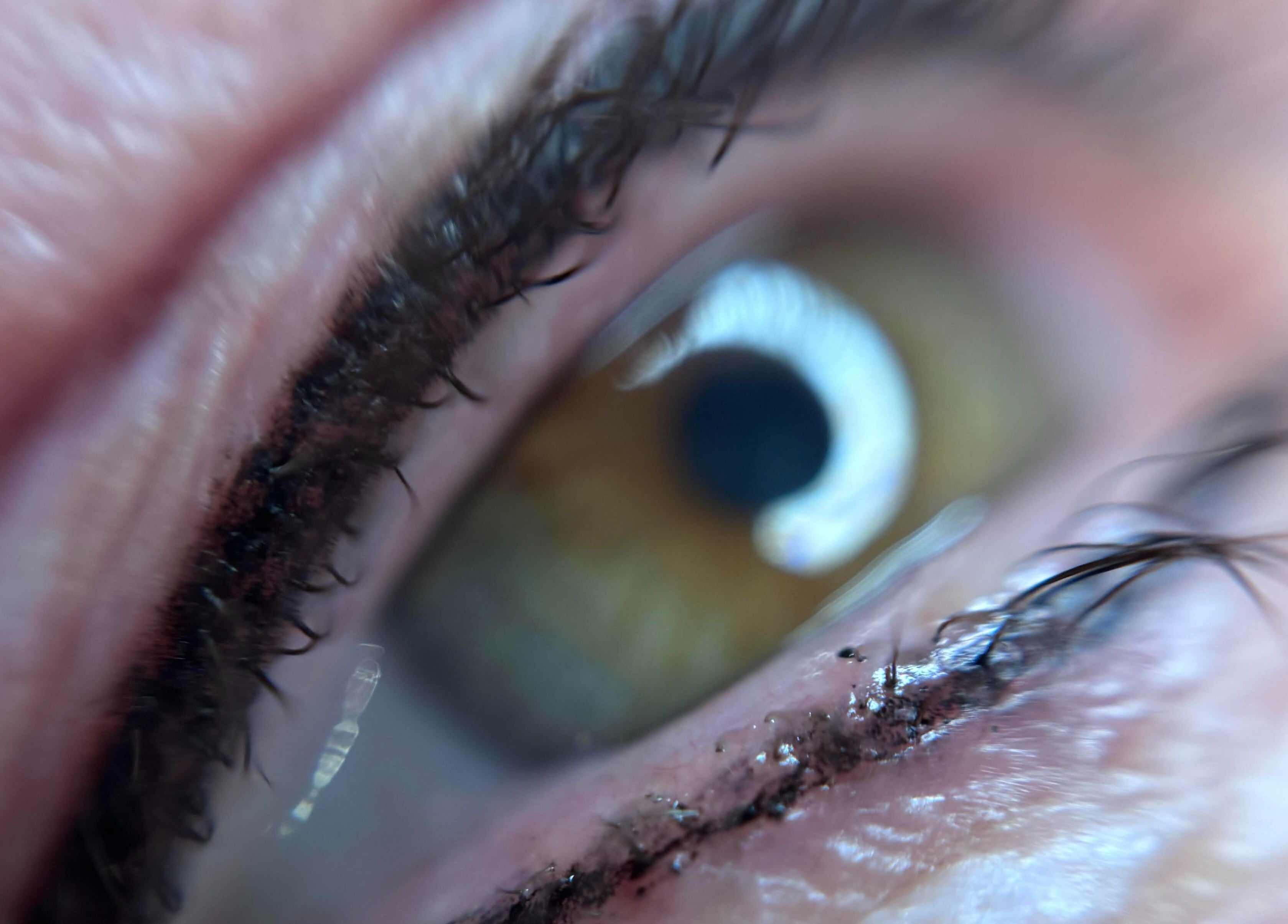 Close-up of an eye with detailed make-up at The Coven- Medi Spa, Bridgend, Wales, GB.