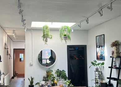 Curls by Jenn in Toronto, Ontario, CA features a modern salon with vibrant indoor plants and stylish decor.