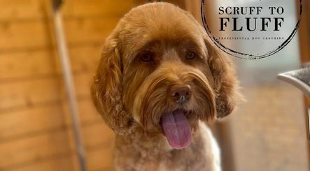Scruff to Fluff Professional Dog Grooming