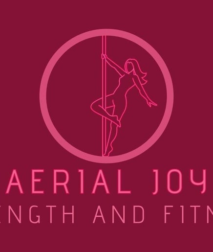Aerial Joy Strength and Fitness 2paveikslėlis