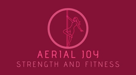 Aerial Joy Strength and Fitness
