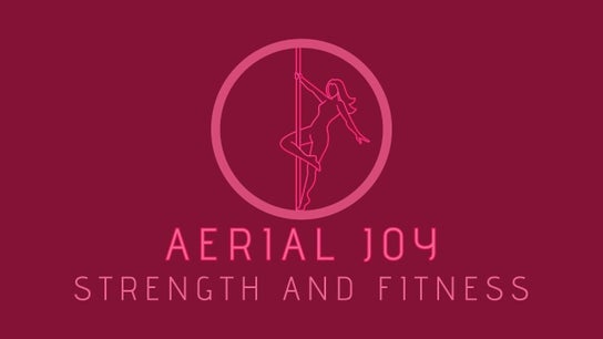 Aerial Joy Strength and Fitness