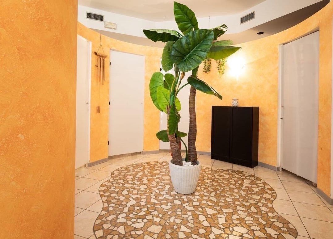 Ingresso con pareti color ocra e pianta a Manuela Poloni - Padova, Padova, IT.