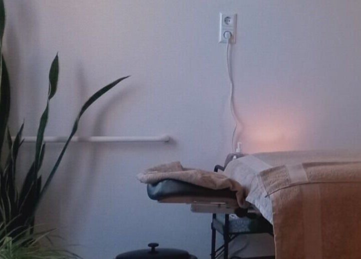 Cozy massage bed and plant at Ladies Wellness, Amsterdam, Noord-Holland, NL.