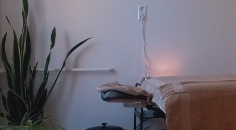 Cozy massage bed and plant at Ladies Wellness, Amsterdam, Noord-Holland, NL.
