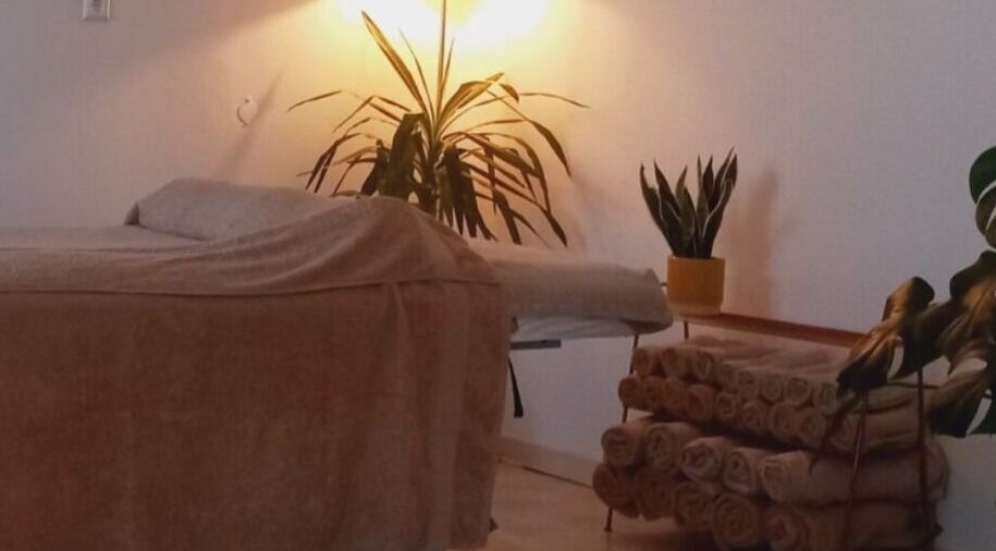 Tranquil massage room at Ladies Wellness, Amsterdam, Noord-Holland, NL, with soft lighting and plants.