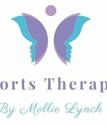 ML Sports Therapy imagem 2