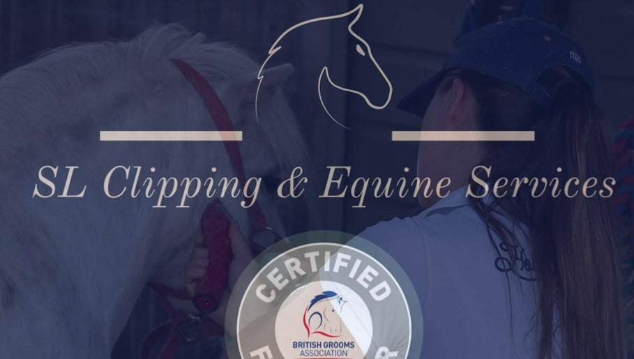 SL Clipping and Equine Services image 1