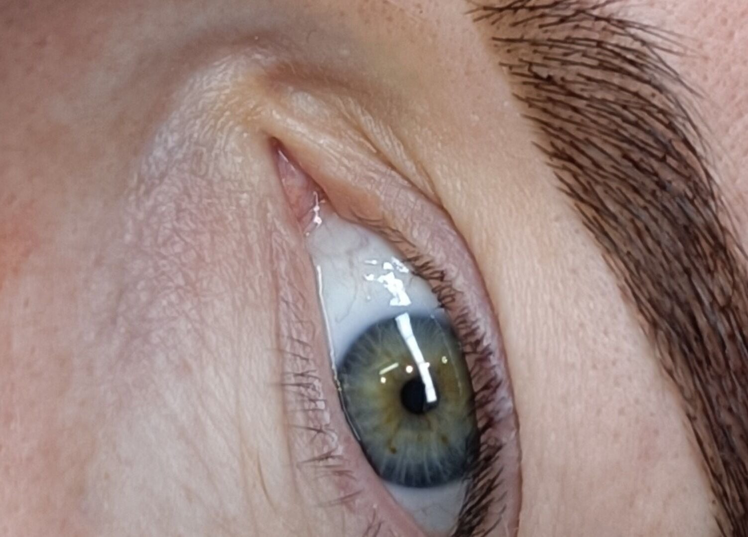 Close-up of expertly sculpted eyebrow at Bella Rose by Debbie, Lathlain, Western Australia, AU.