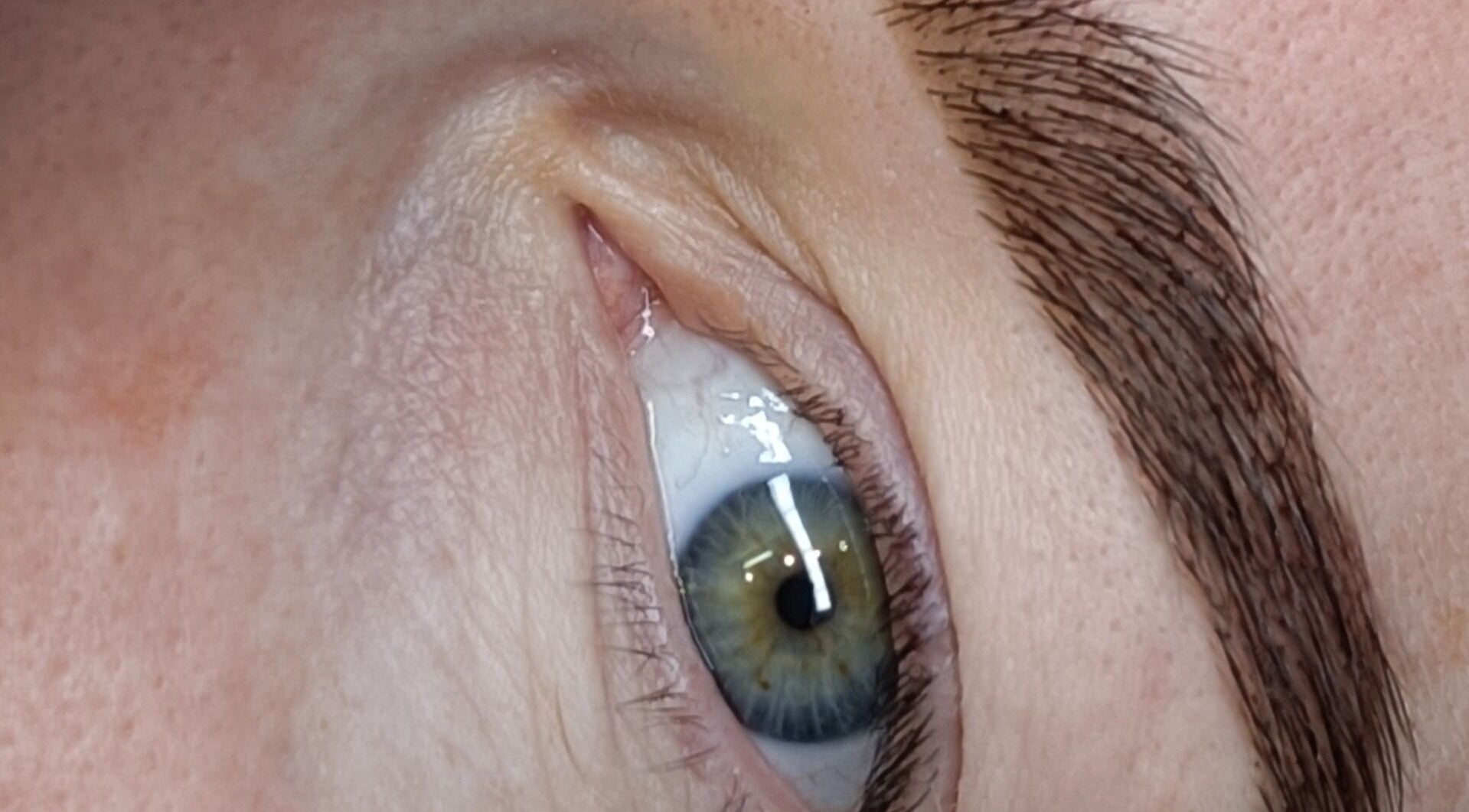 Close-up of expertly sculpted eyebrow at Bella Rose by Debbie, Lathlain, Western Australia, AU.