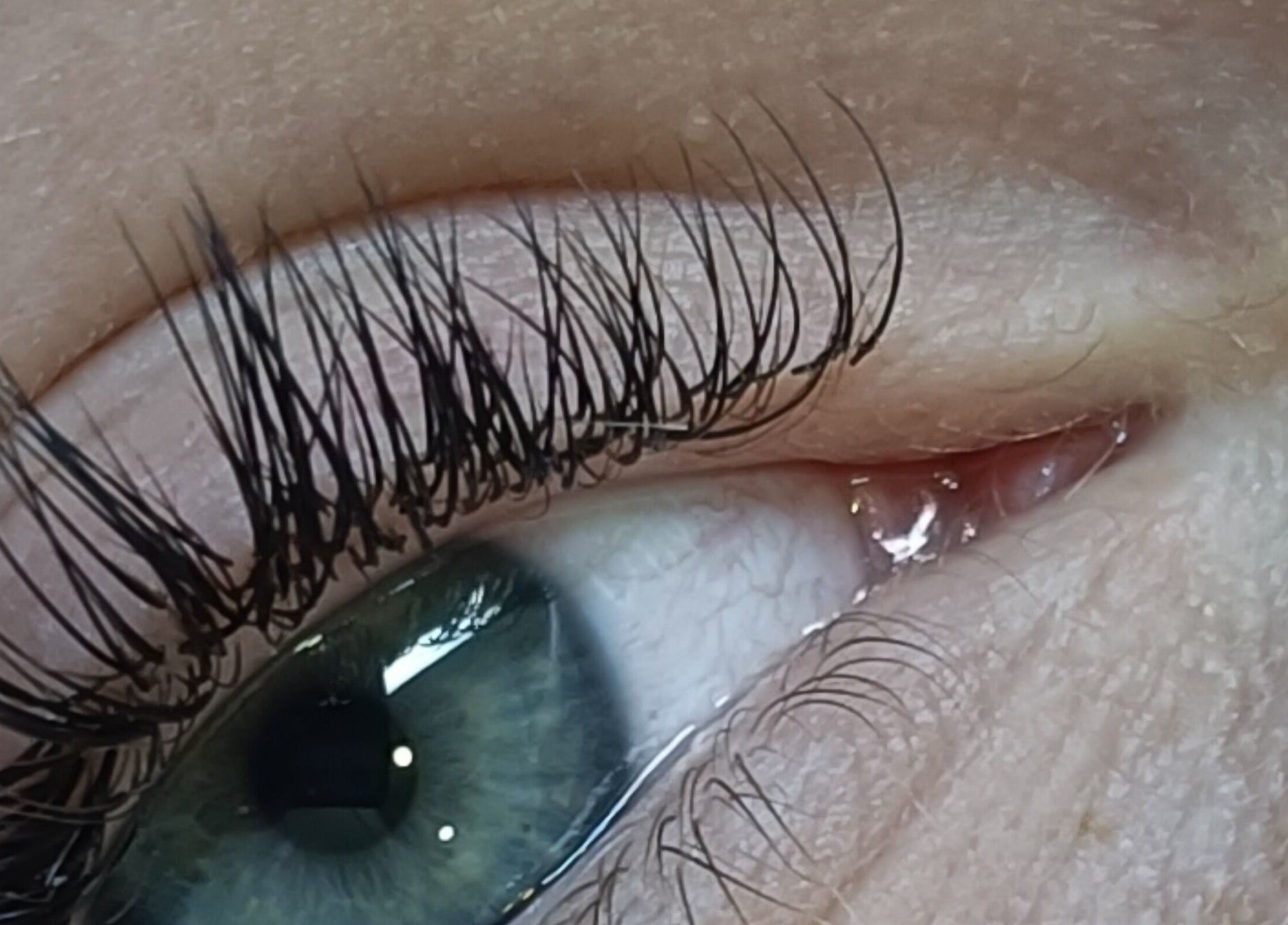 Close-up of elegant lash extensions at Bella Rose by Debbie, Lathlain, Western Australia, AU.