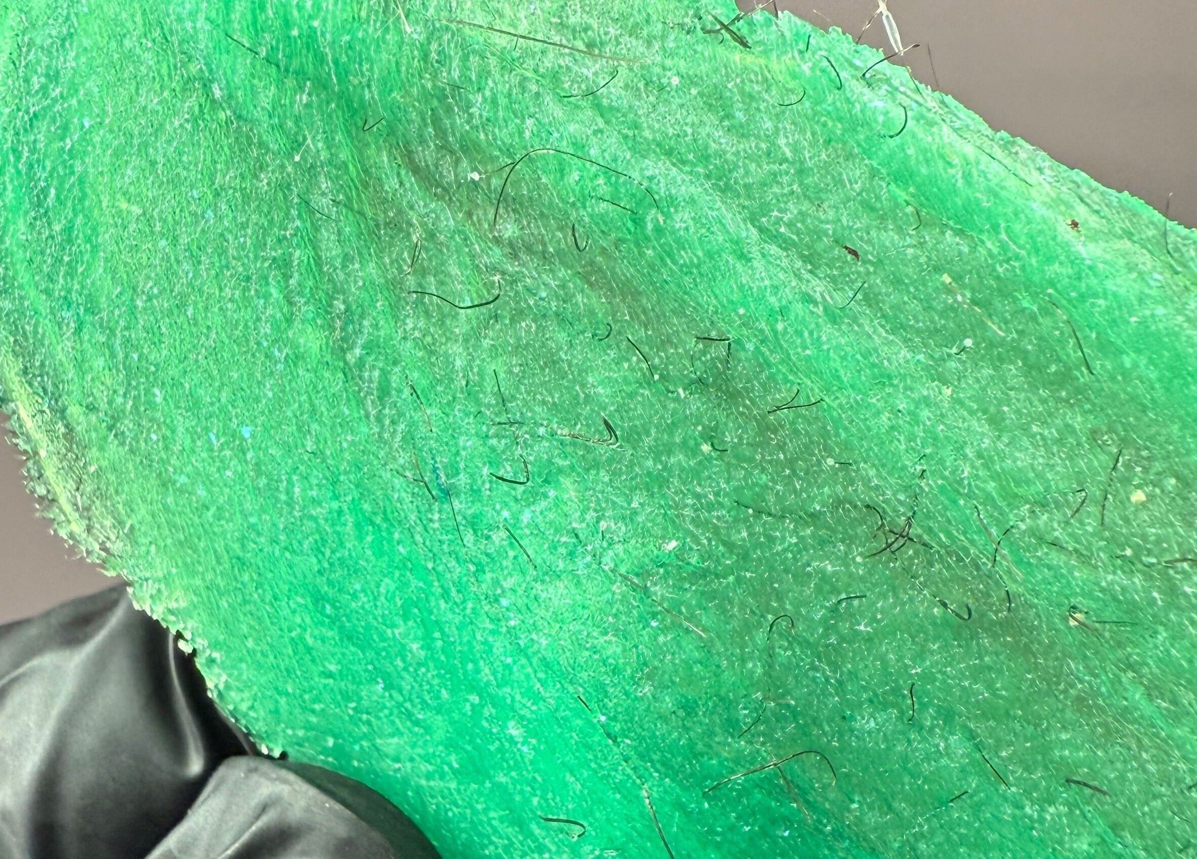 Closeup of green wax with hairs removed at Kitty Meow Wax & Brow, Meadow Springs, Western Australia, AU.