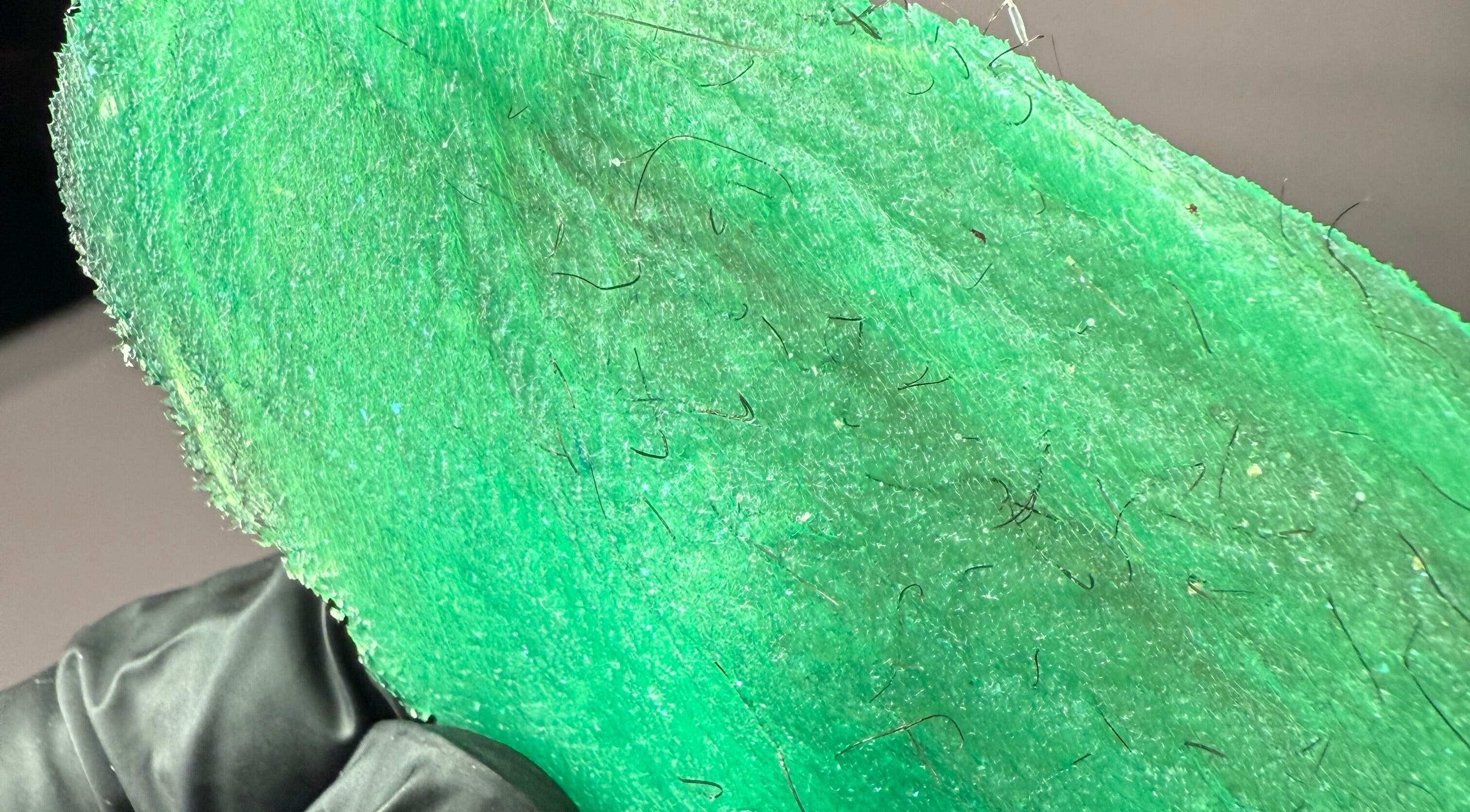 Closeup of green wax with hairs removed at Kitty Meow Wax & Brow, Meadow Springs, Western Australia, AU.