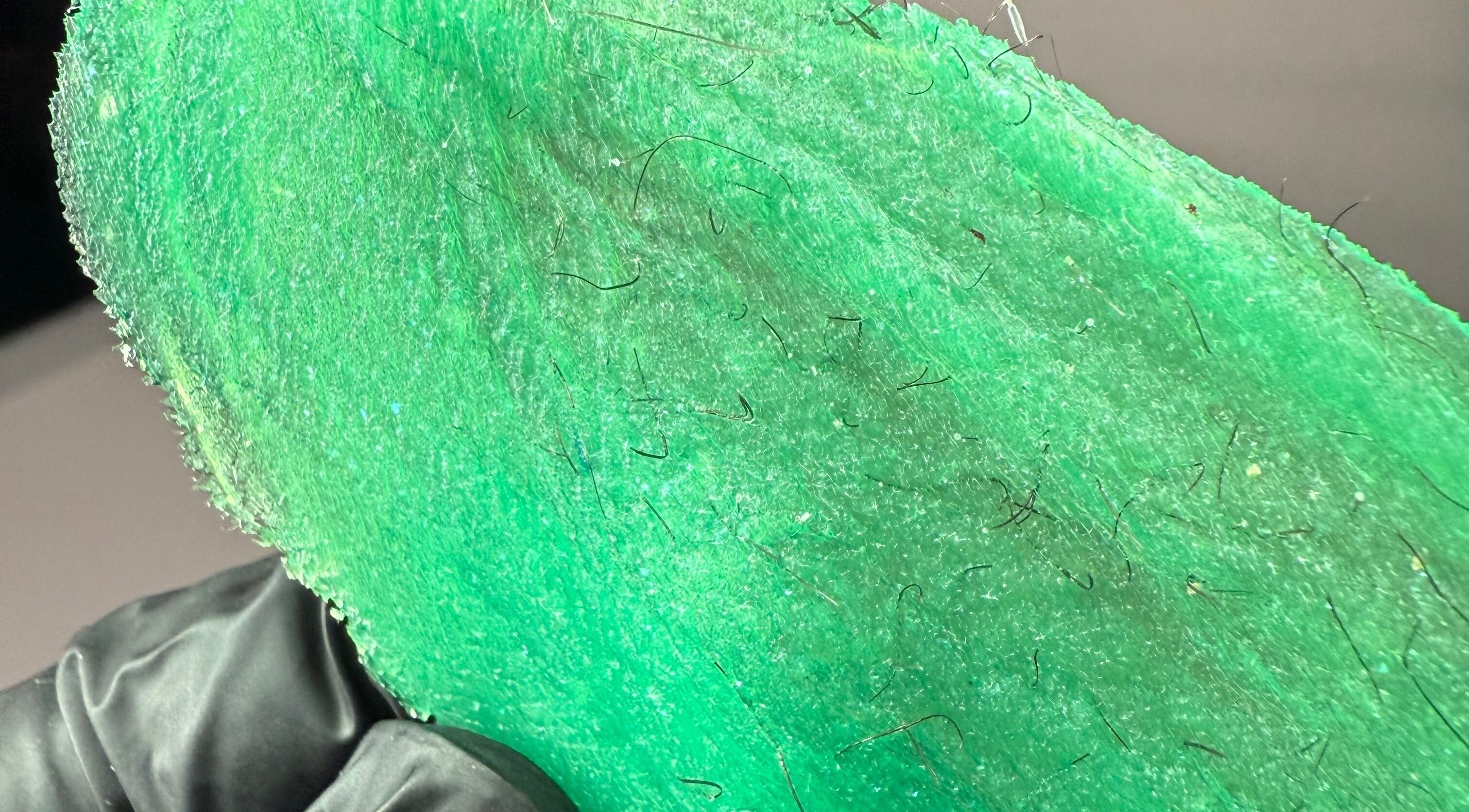 Closeup of green wax with hairs removed at Kitty Meow Wax & Brow, Meadow Springs, Western Australia, AU.