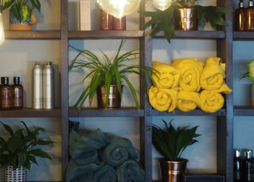Elegant shelving with plants and towels at Lazarus Hair, Brighton, England, GB.