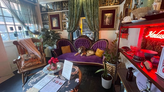 Sirena's Psychic Parleure
