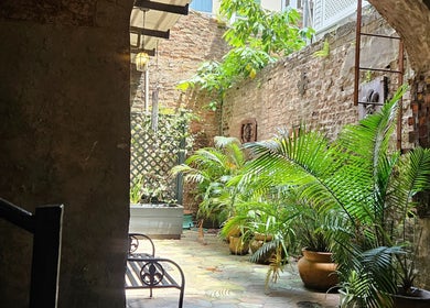 Enchanting courtyard at Sirena's Psychic Parleure, New Orleans, Louisiana, US, with lush plants and rustic brick walls.