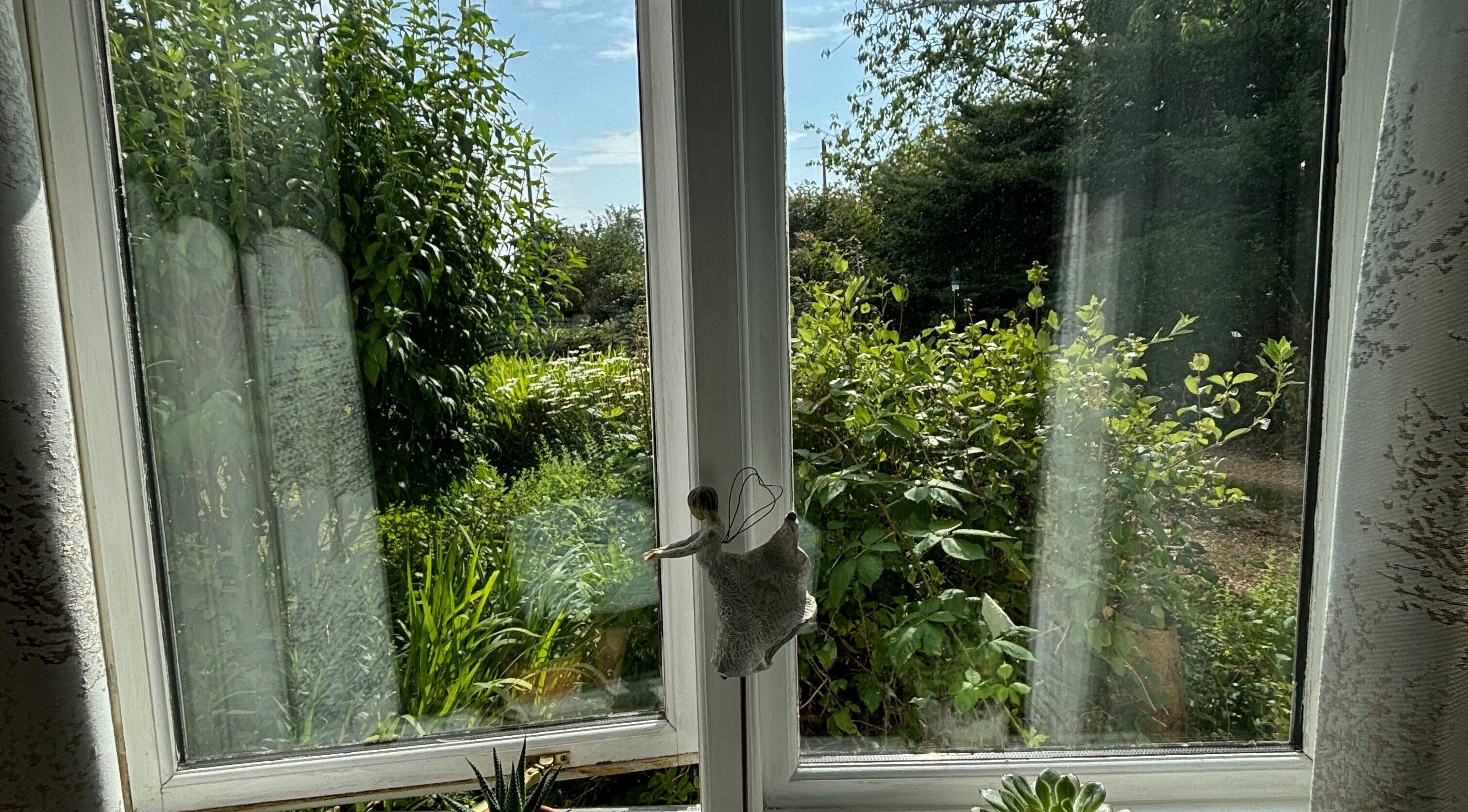 Lush garden view from Rooted Wellness window in Kineton, England, GB. Tranquil greenery and relaxed ambiance.