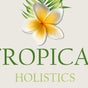 Tropical Holistics