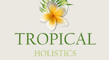 Tropical Holistics