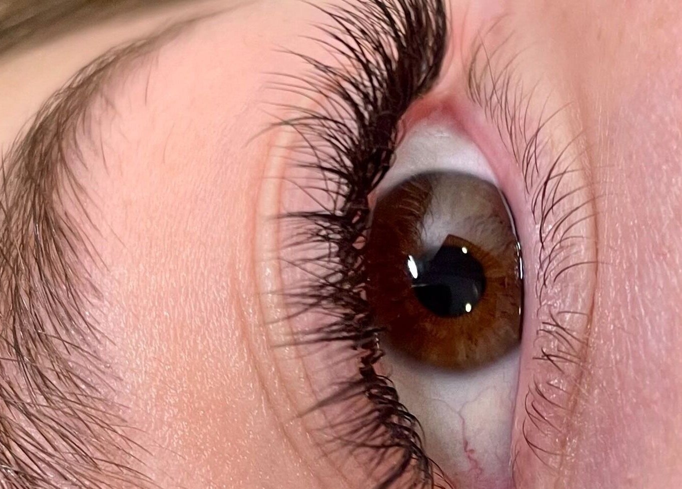 Close-up of eye showcasing lash treatment at Alvalade - Glowing Beauty, Lisboa, Lisboa, PT.