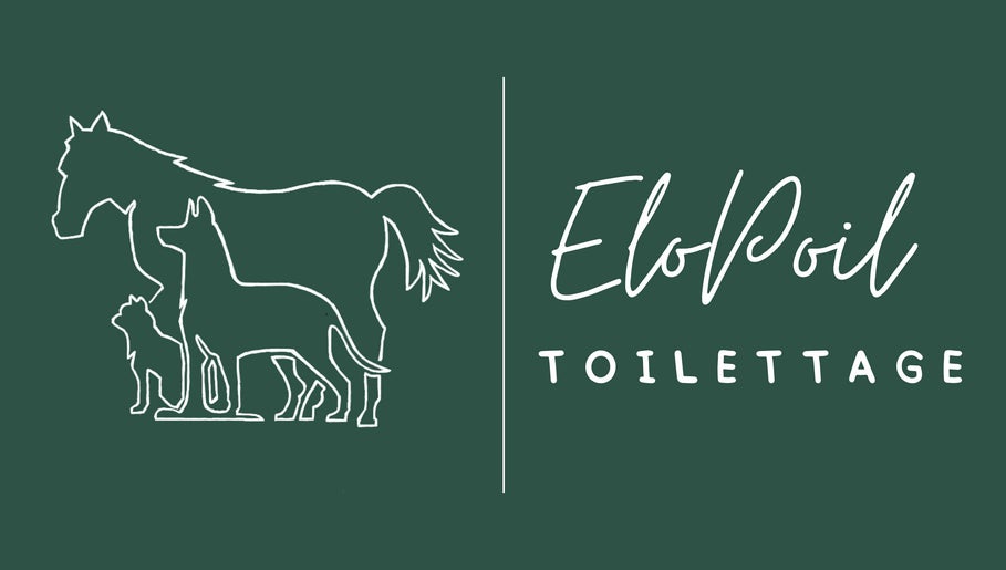 Toilettage Elopoil – kuva 1