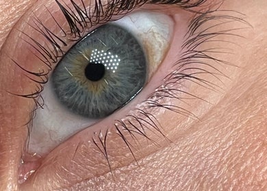 Close-up of styled eyelashes at Still Natural - Lash & Brow Styling, London, England, GB.