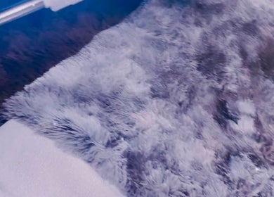 Luxurious fur texture at Skin by Gigi, Parma Heights, Ohio, US spa for ultimate relaxation.