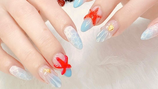 Colour Nail and Beauty