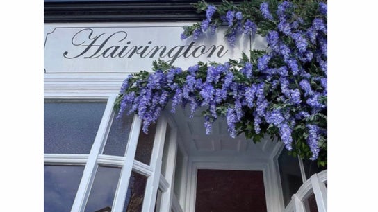 Hairington