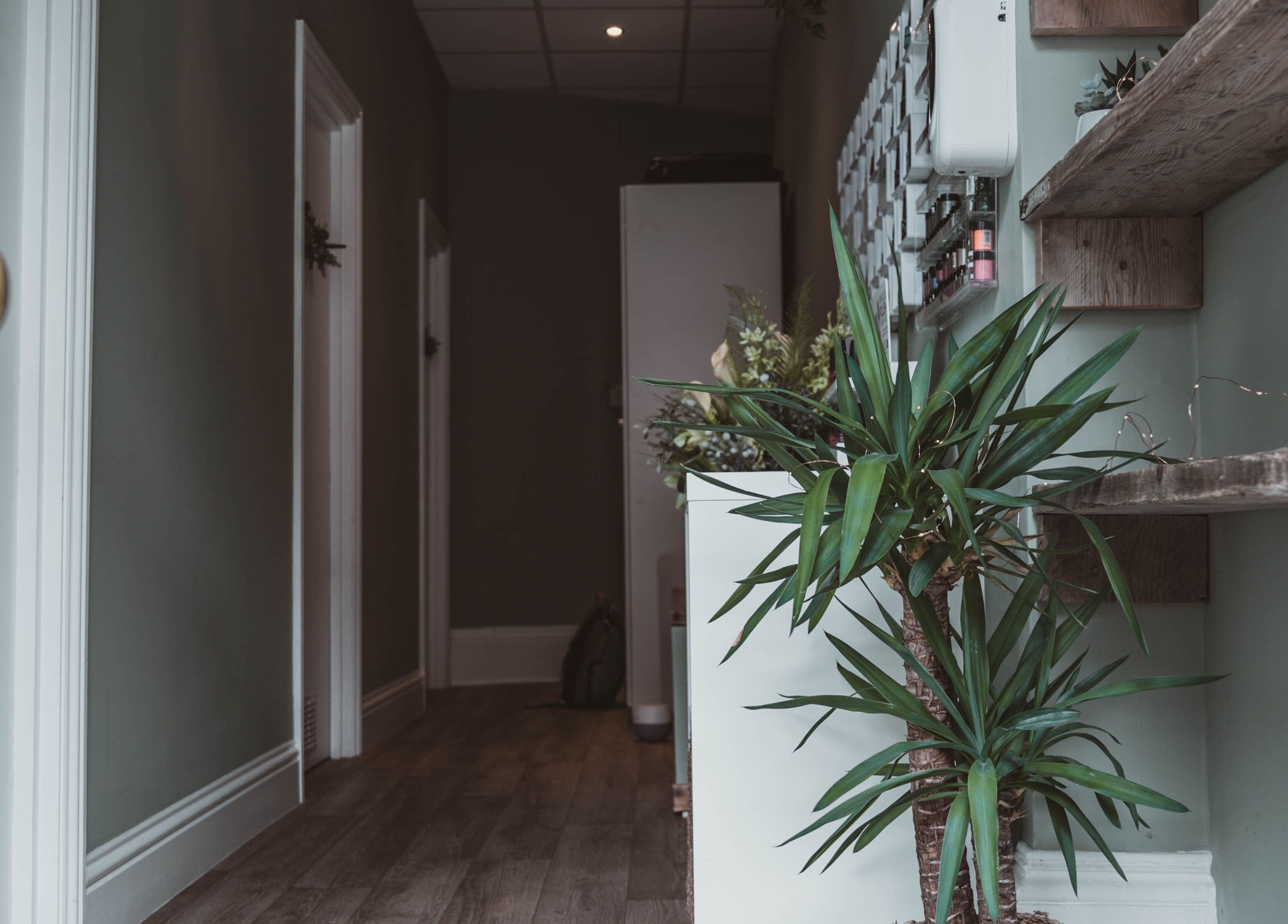 Welcoming hallway of Kelly at Soul Self Care Clinic in Harrogate, England, GB featuring a lush plant.