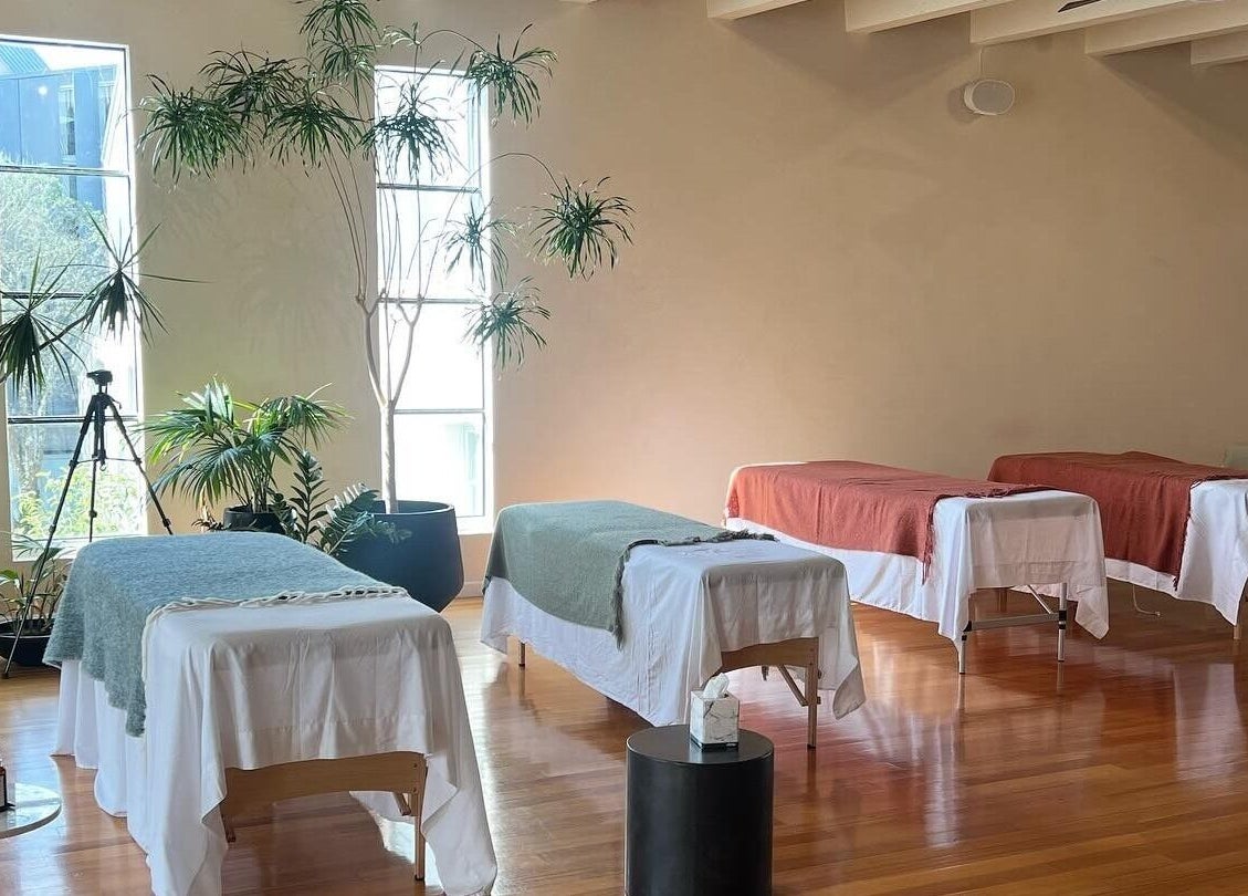 Peaceful massage room at Studio M, Horsham Downs, Waikato, NZ, with lush plants and natural light.