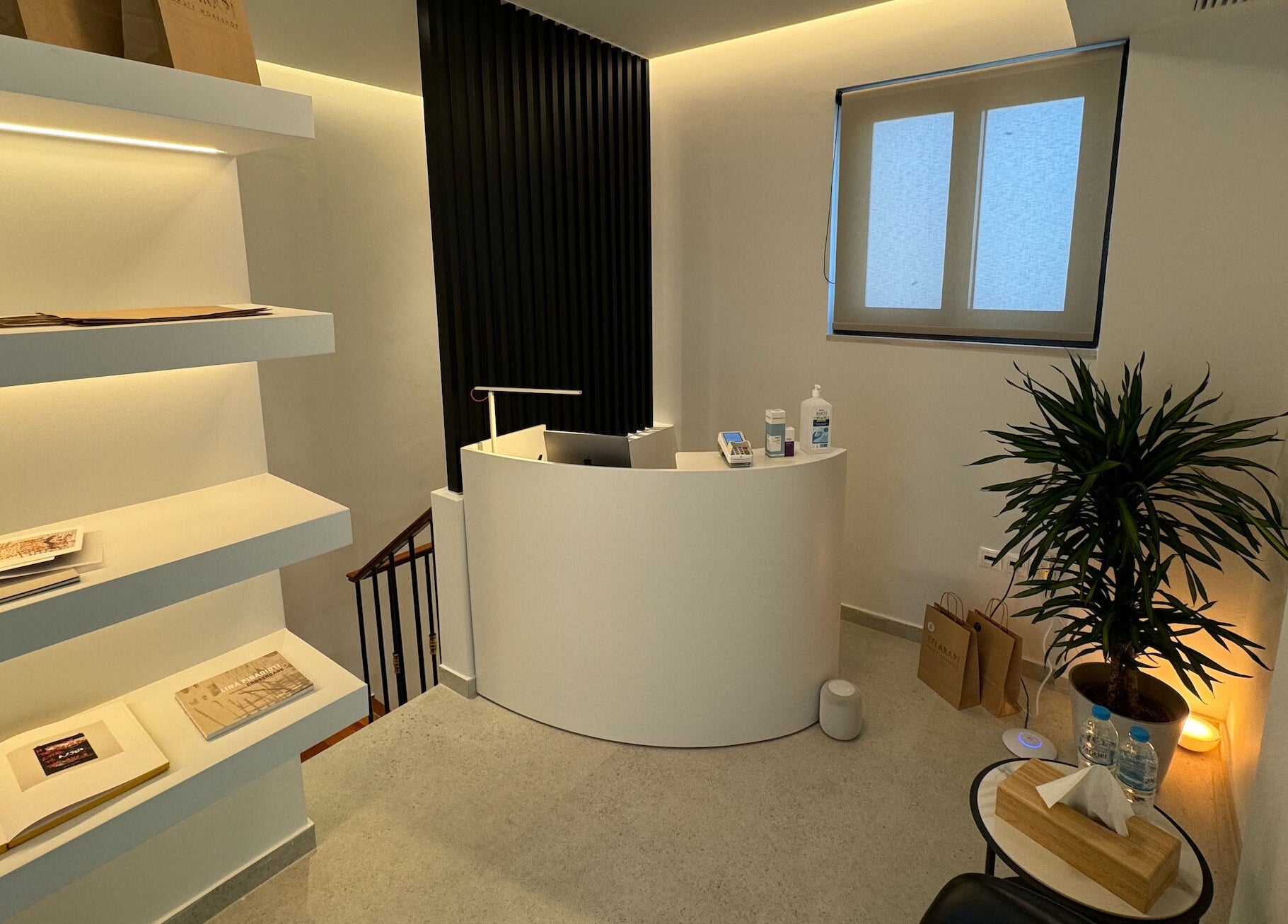 Reception area of EFI ARAPI in Athina, GR, with modern decor, potted plant, and minimalistic design.