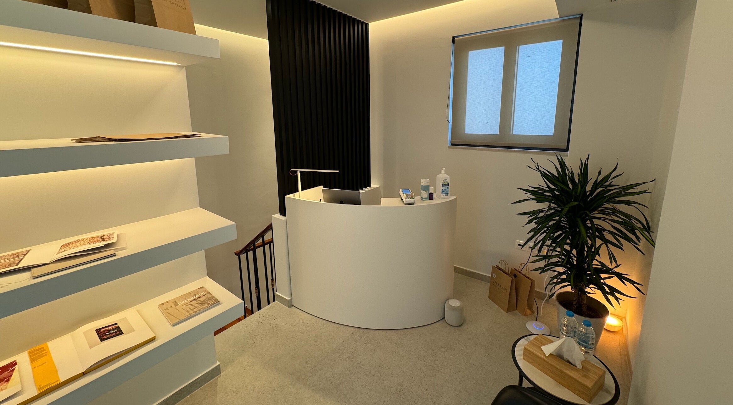 Reception area of EFI ARAPI in Athina, GR, with modern decor, potted plant, and minimalistic design.