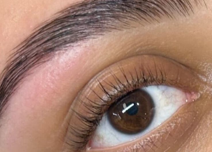 Beautifully shaped eyebrow at Blush & Brow Beauty, Pointe-claire, Québec, CA, showcasing expert grooming.